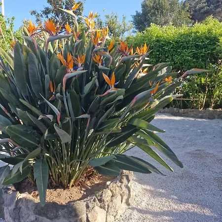 Maddalena Villa Ischia