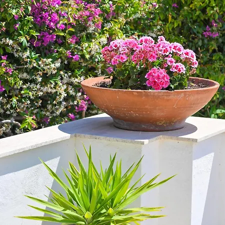 Maddalena A Ischia, Piscina, Giardino Attrezzato, Terrazzi E Parcheggio Privato Villa Ischia