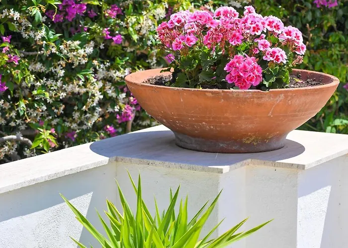 Villa Maddalena Ischia - 6 Ospiti, Giardino, Parcheggio, Terrazzo E Piscina Sterrata Villa Ísquia