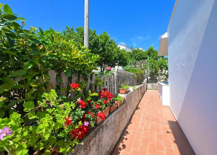 Villa Maddalena Ischia - 6 Ospiti, Giardino, Parcheggio, Terrazzo E Piscina Sterrata *