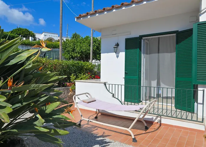 Villa Villa Maddalena Ischia - 6 Ospiti, Giardino, Parcheggio, Terrazzo E Piscina Sterrata *