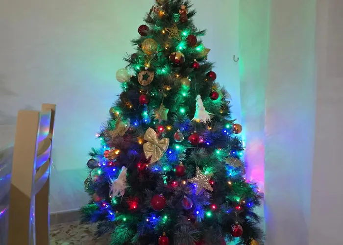 Villa Maddalena Ischia - 6 Ospiti, Giardino, Parcheggio, Terrazzo E Piscina Sterrata Villa